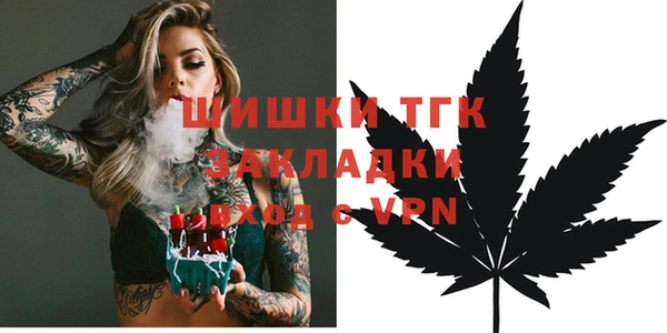хмурый Арсеньев