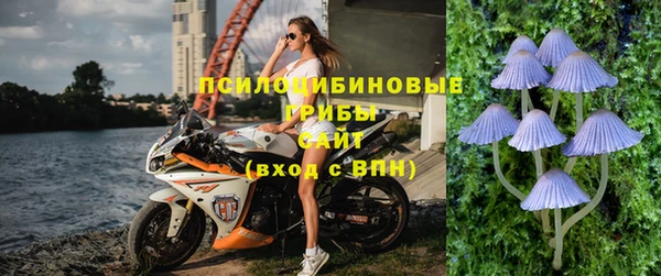 хмурый Арсеньев