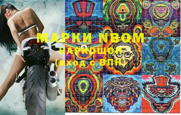 хмурый Арсеньев