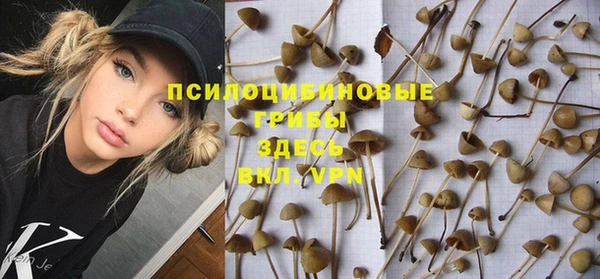 хмурый Арсеньев