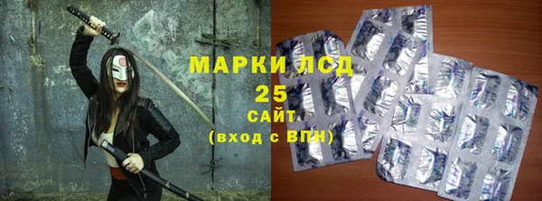 хмурый Арсеньев