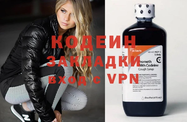 хмурый Арсеньев