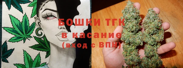 дживик Аркадак