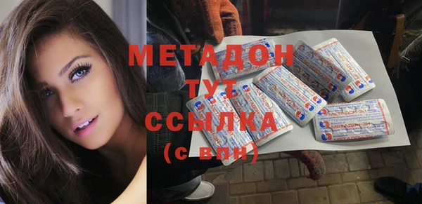 прущие грибы Покровск