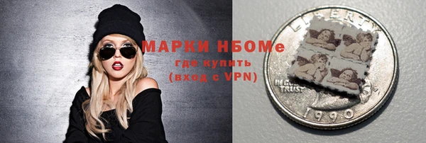 хмурый Арсеньев