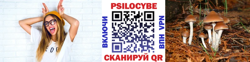 Псилоцибиновые грибы Magic Shrooms Сокол